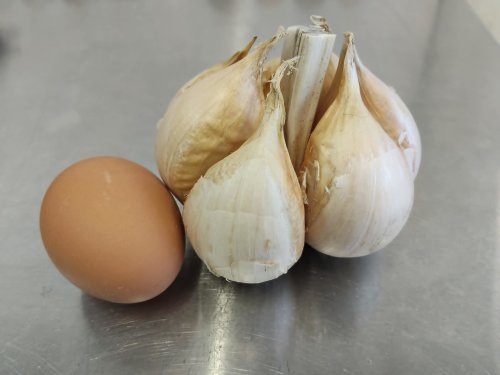 Fresh NZ grown Elephant Garlic bulbs from The Garlic Guy, Katikati — large easy-peel cloves, spray-free and organically grown, available from The Egg Project
